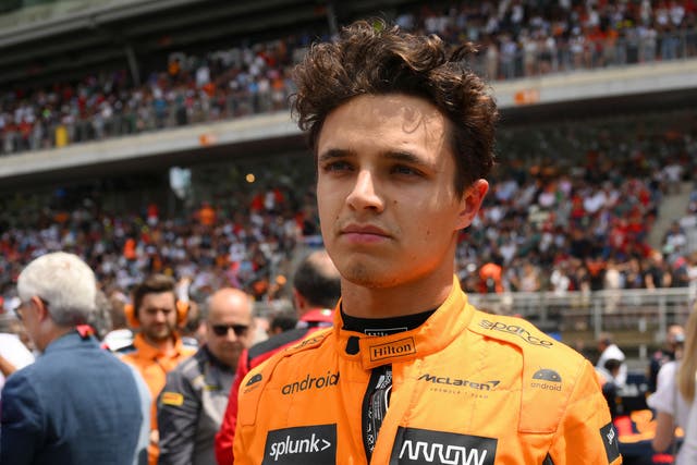 <p>Lando Norris collided with Lewis Hamilton on the opening lap </p>