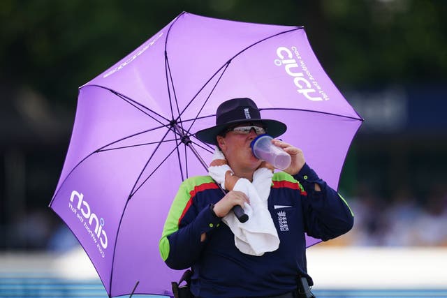 Sue Redfern became the first female to umpire in a men’s Blast game (Mike Egerton/PA)