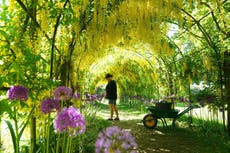 UK weather: Met Office reveals exact date temperatures are set to hit 27C