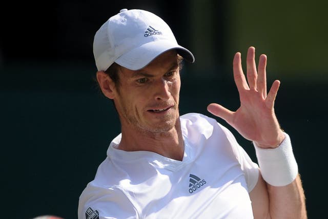 Andy Murray (pictured) lost the 2016 French Open final to Novak Djokovic (Adam Davy/PA)