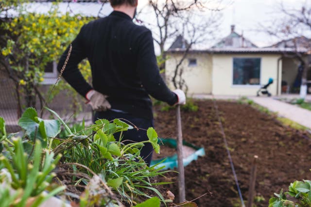 Simple exercises before gardening will help you avoid aches and pains (Alamy/PA)