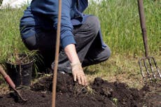 Brisk walking or gardening could counteract genetic risk of diabetes – study