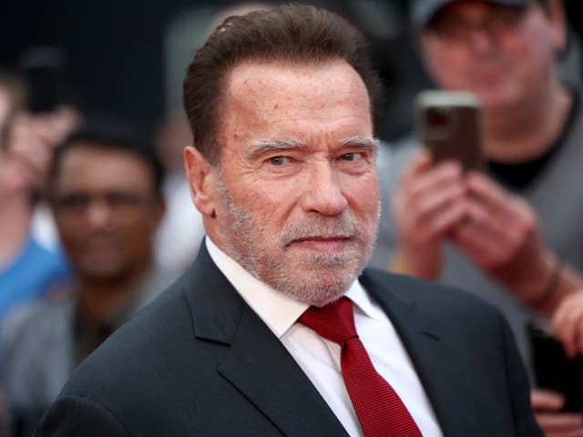 <p>Arnold Schwarzenegger attends the Los Angeles Premiere of Netflix’s “FUBAR” at The Grove on May 22, 2023 in Los Angeles, California.</p>