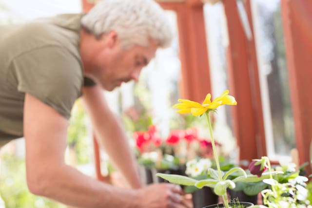 Gifts for green fingers (Alamy/PA)