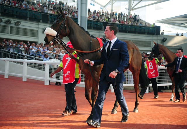 <p>Horses are paraded before the debut of the China Equine Cultural Festival Singapore Cup at Kranji racecourse in Singapore on 22 February 2015</p>