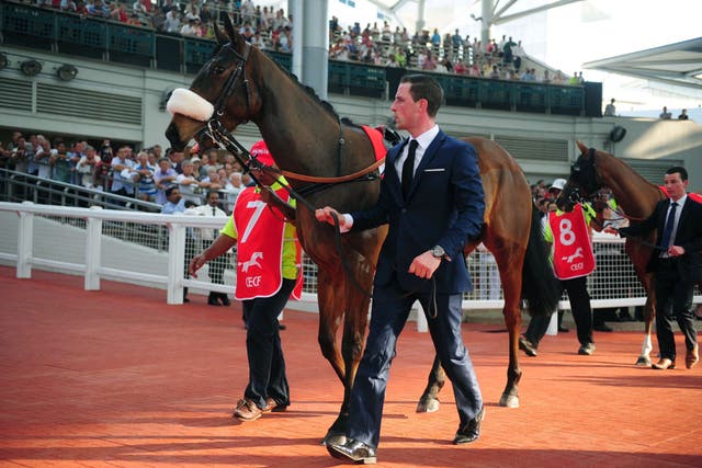 <p>Horses are paraded before the debut of the China Equine Cultural Festival Singapore Cup at Kranji racecourse in Singapore on 22 February 2015</p>