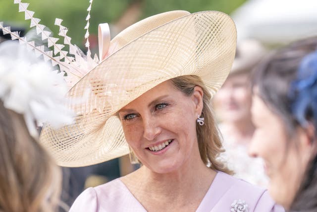 The collision with the officer’s vehicle last month happened while part of an escort for the Duchess of Edinburgh (PA)