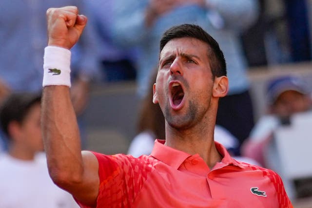 Novak Djokovic celebrates winning his quarter-final match (Thibault Camus/AP)