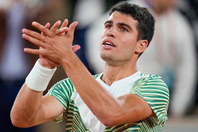 Carlos Alcaraz set up a French Open semi-final against Novak Djokovic (Thibault Camus/AP)