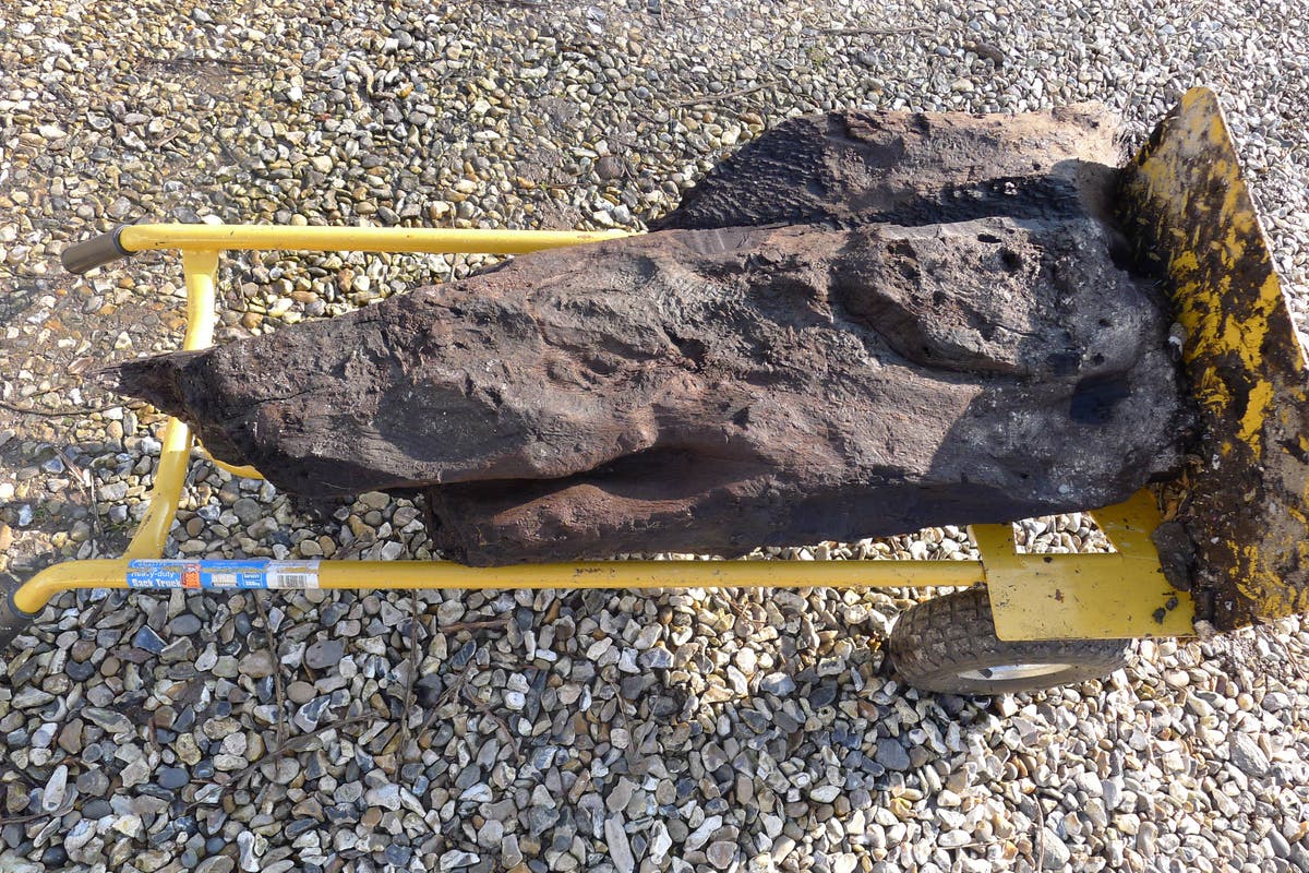 Oldest known carved wood discovered in Britain extracted from trench containing timber