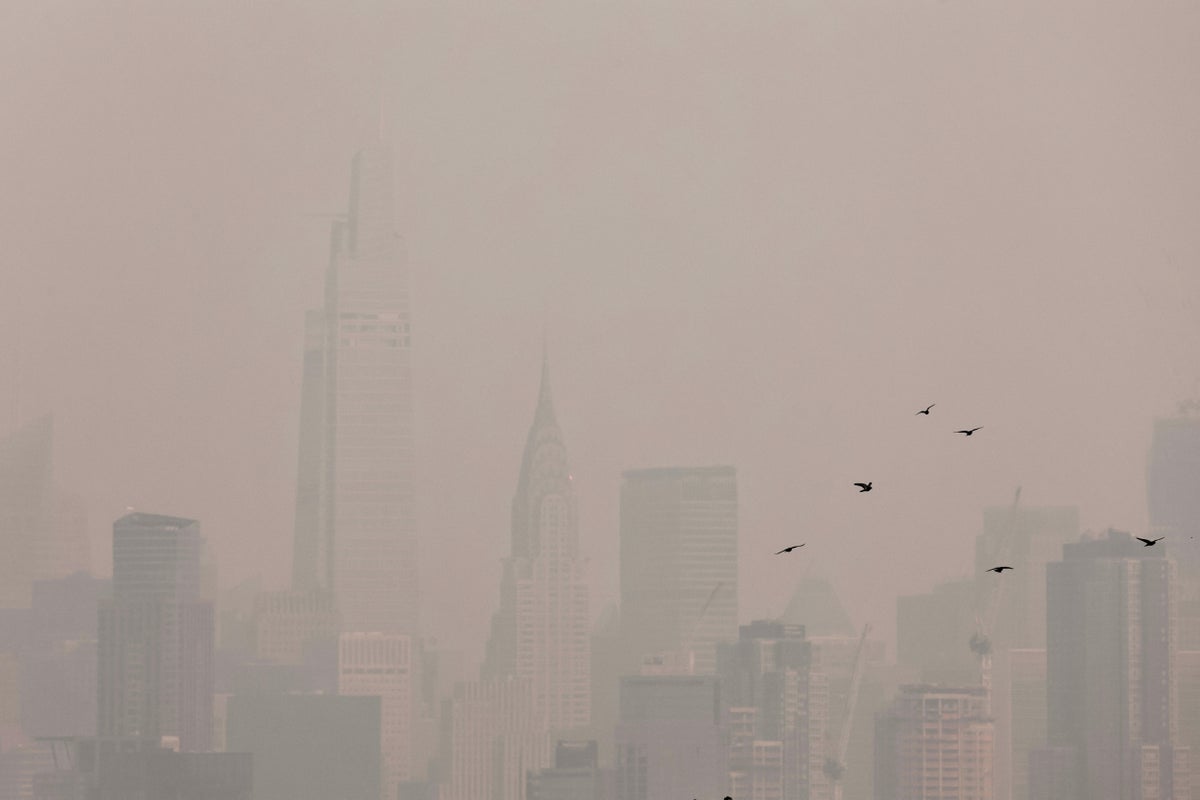 NYC and DC public schools cancel outdoor activities as wildfire smoke plagues East Coast