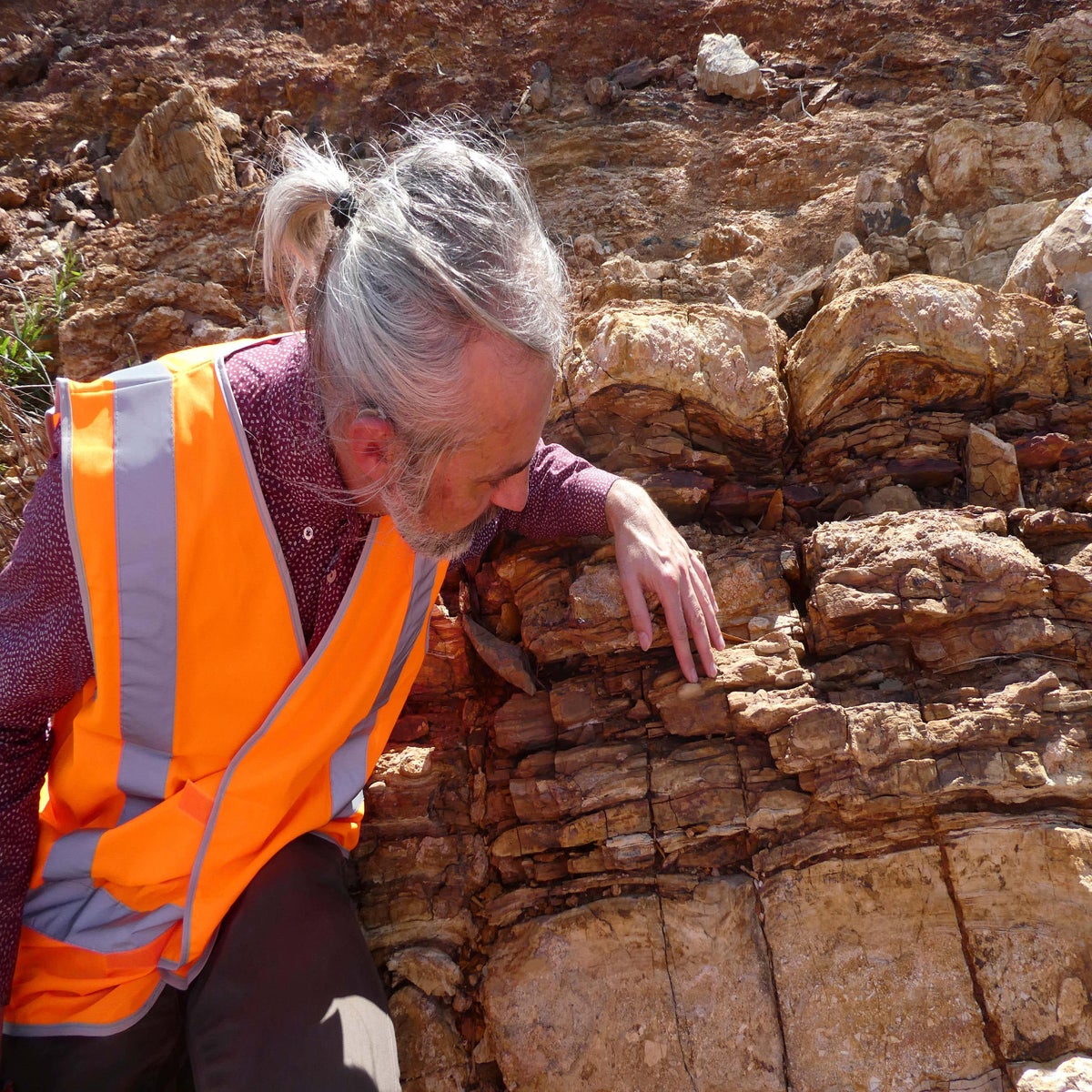 Scientists discover lost world of early ancestors in billion-year-old rock  | The Independent