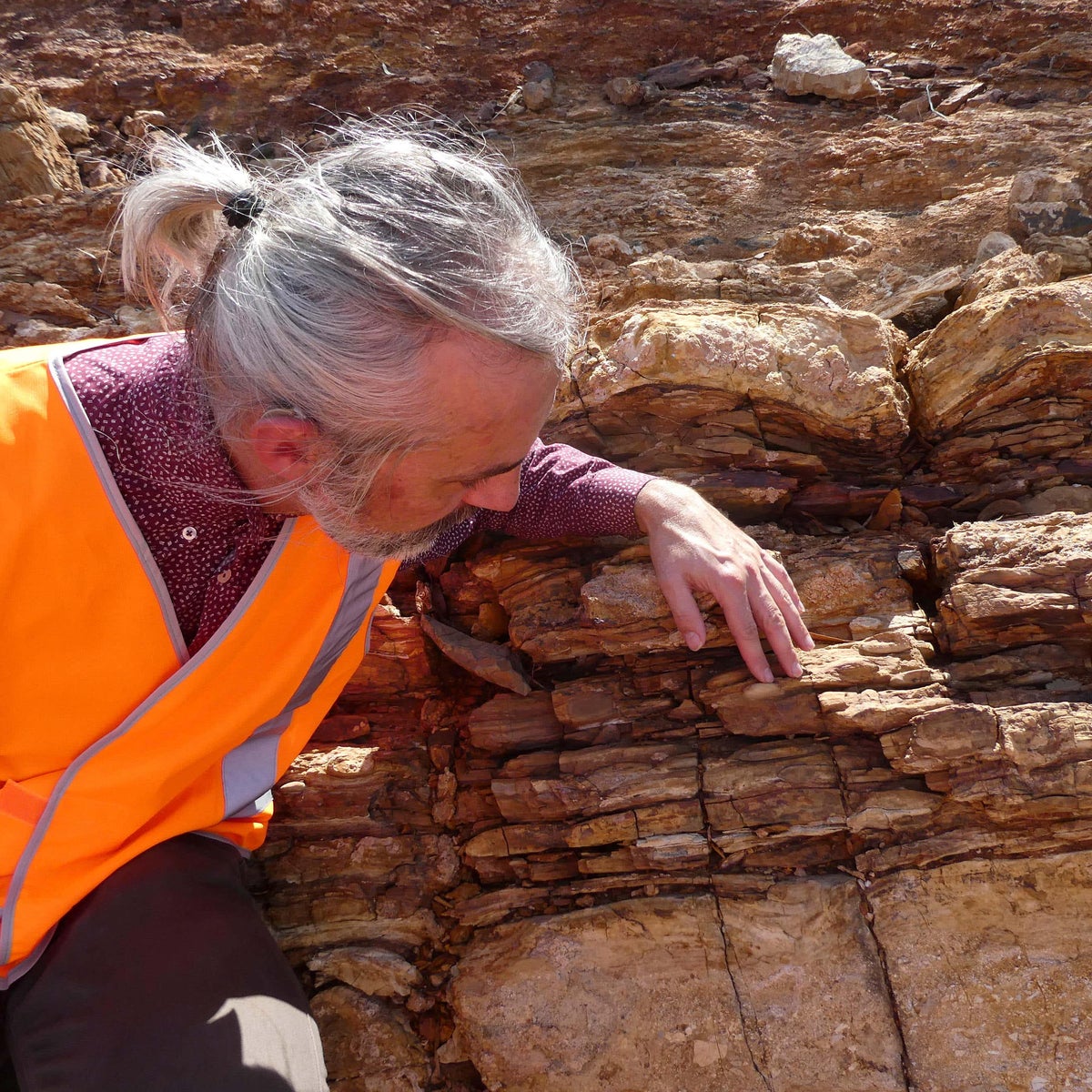 Scientists discover lost world of early ancestors in billion-year-old rock | The Independent