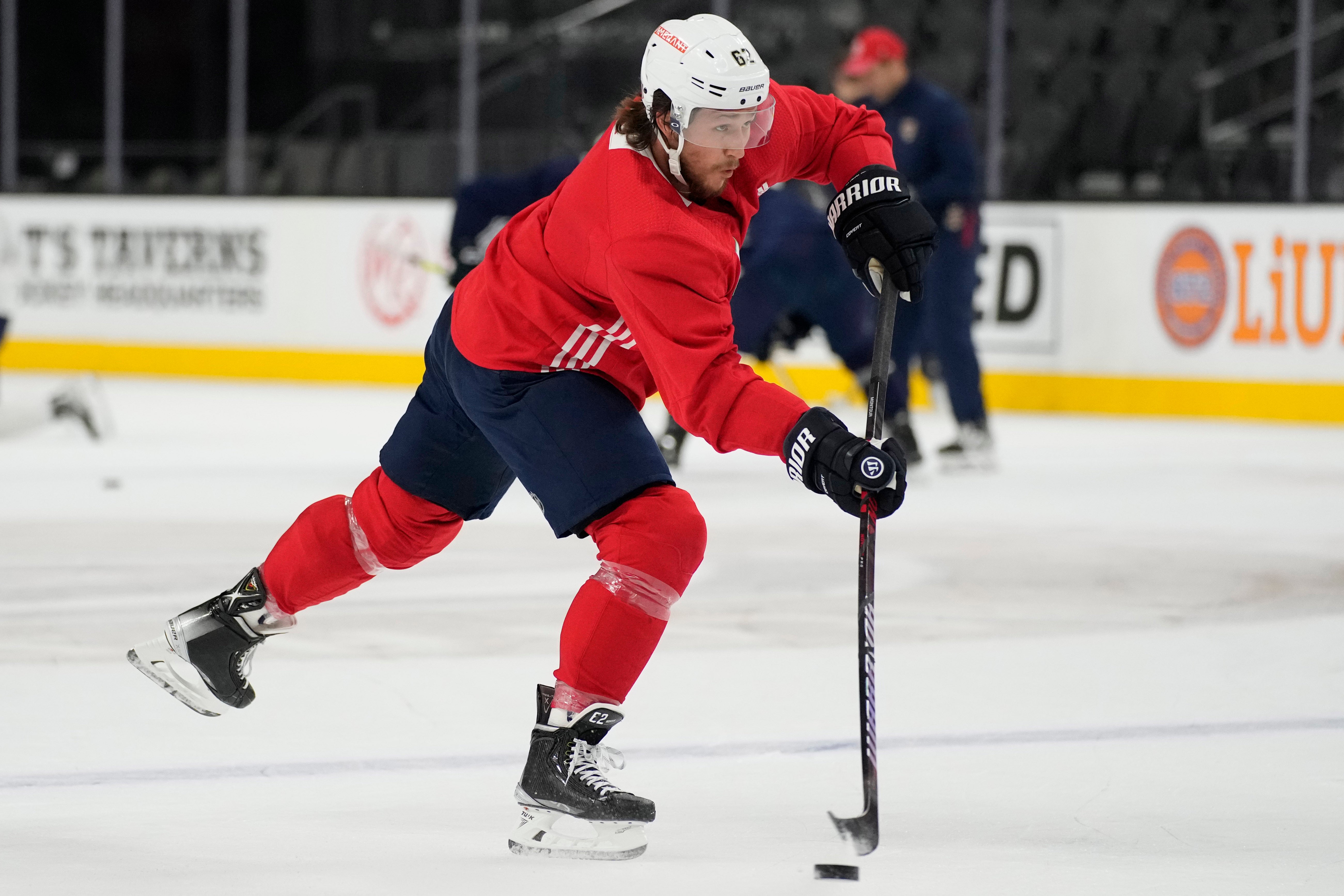 Stanley Cup Panthers Hockey