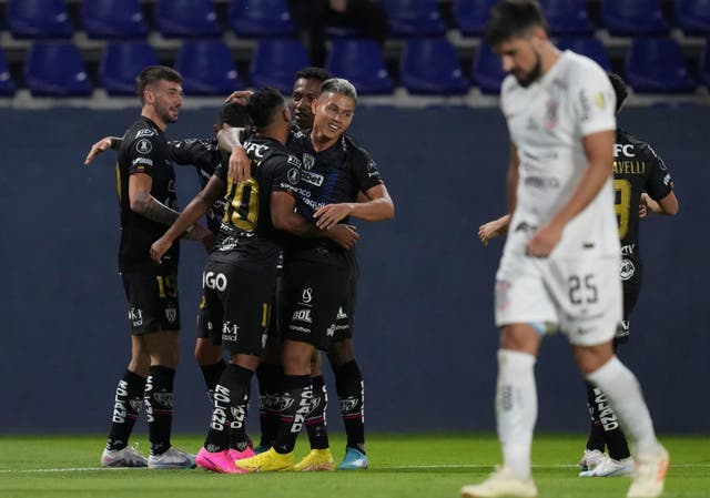 LIBERTADORES-RESUMEN