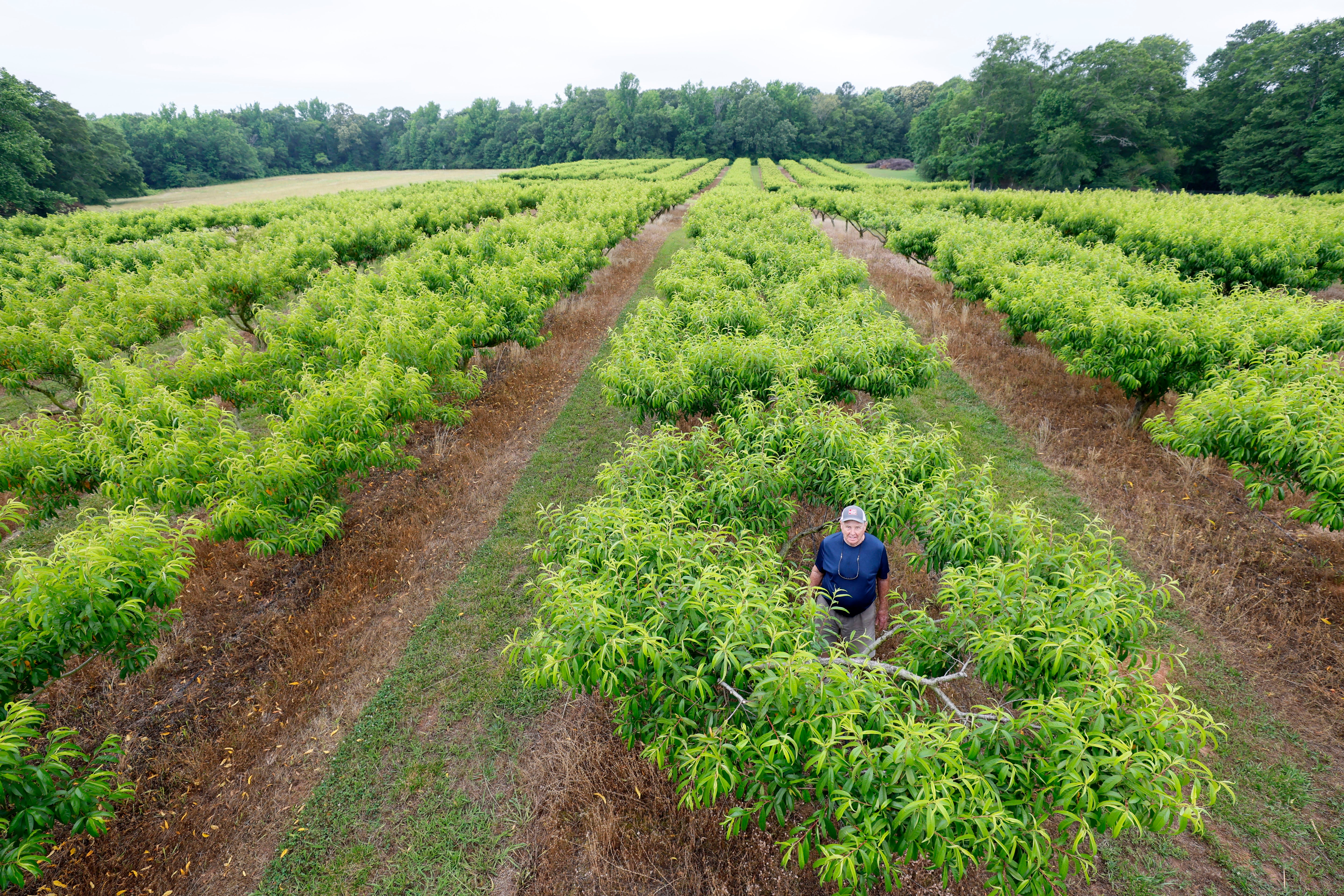 Climate Warmer Winter Crops