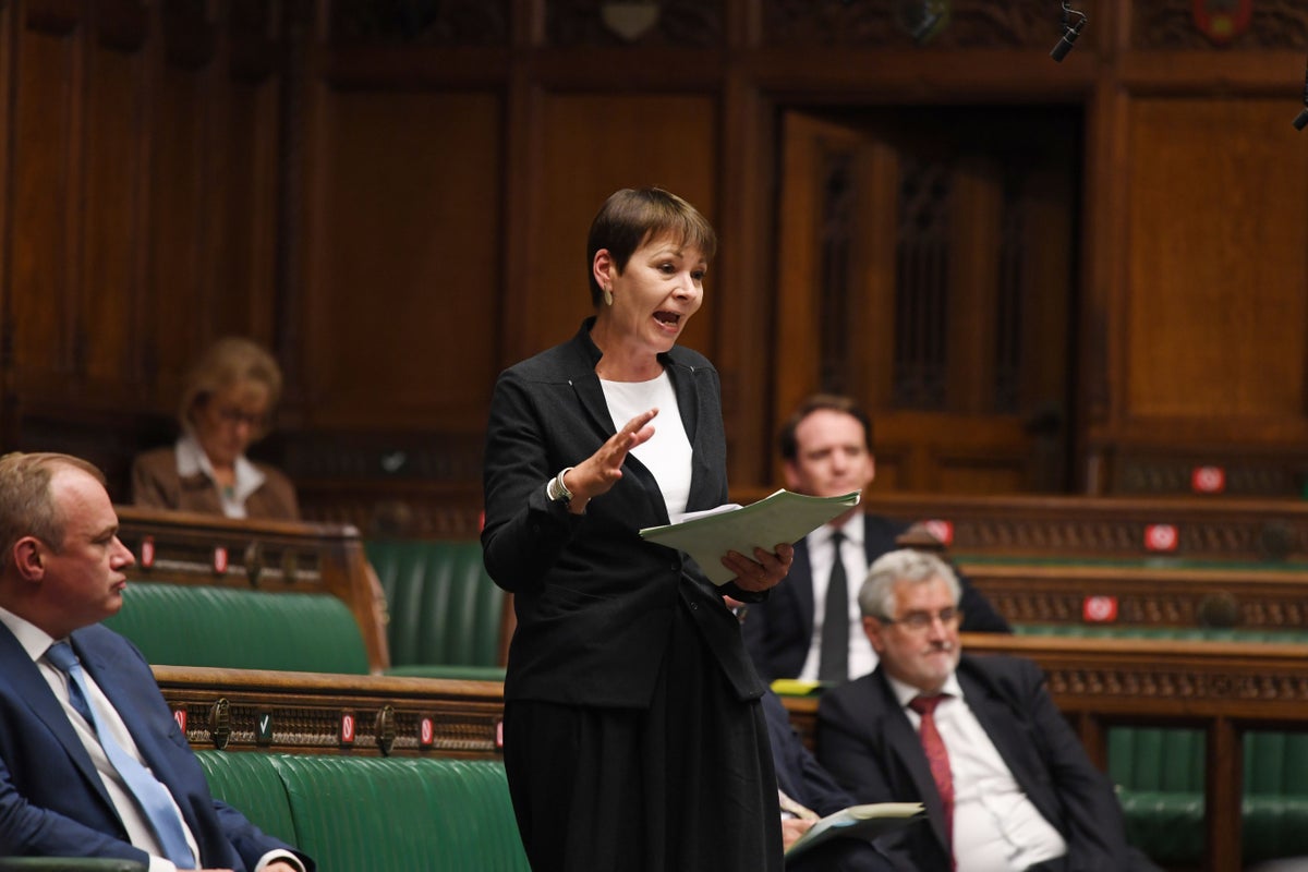 Green Party’s Caroline Lucas to quit as MP to focus on fighting climate change