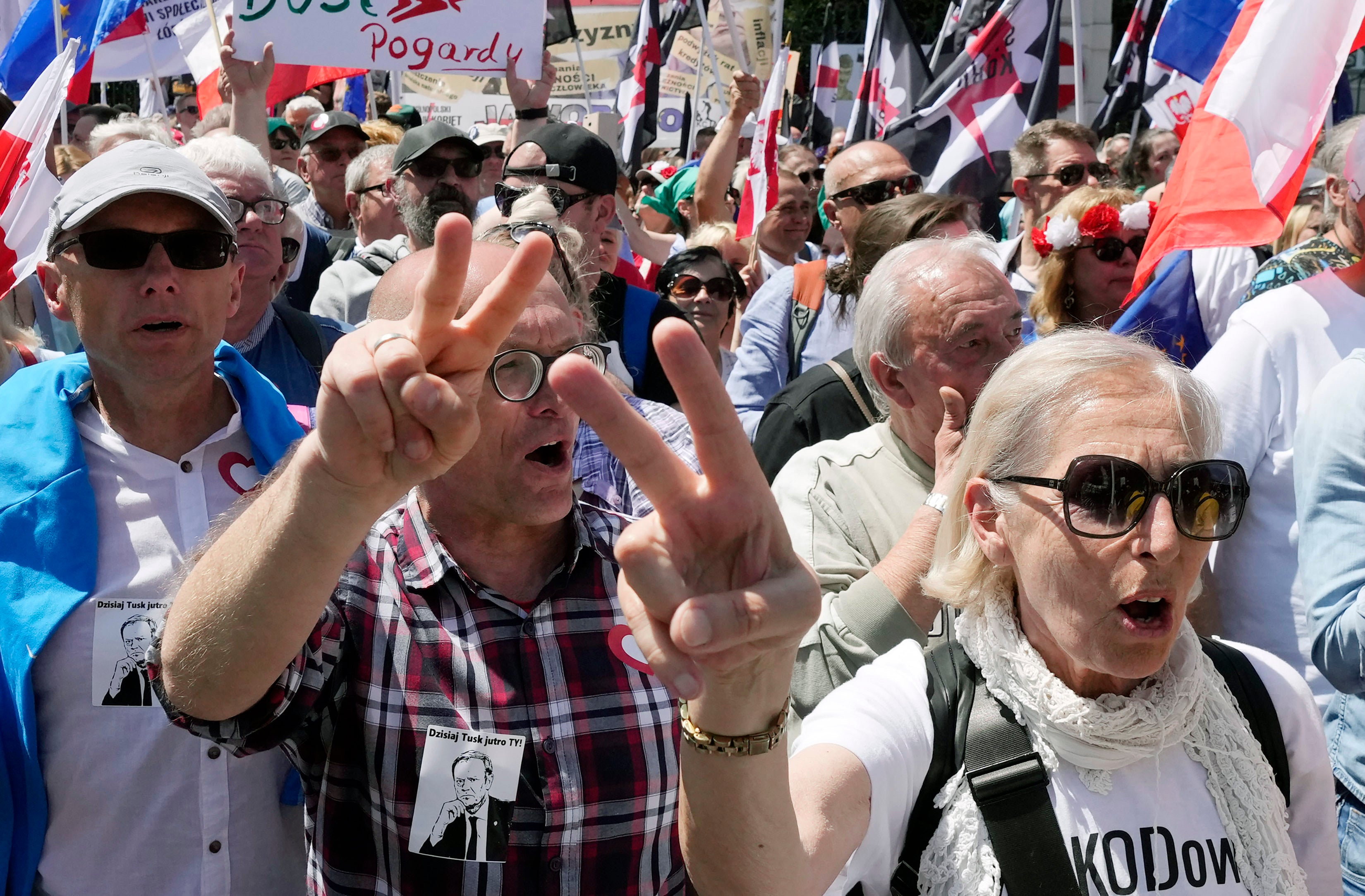 Poland Democracy March