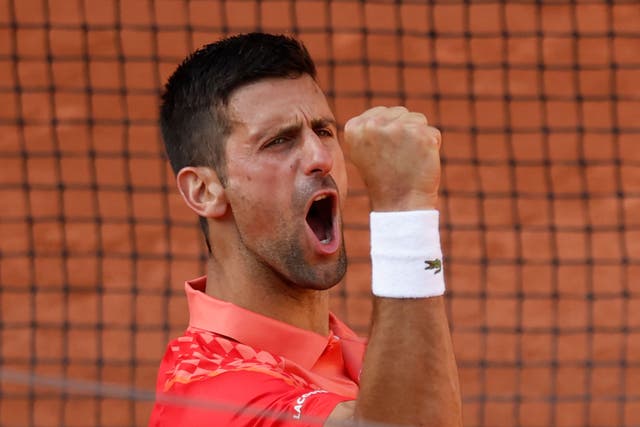 Novak Djokovic takes on Carlos Alcaraz for a place in the final (Jean-Francois Badias/AP)