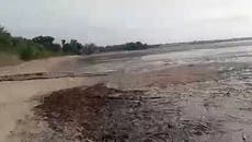 Graveyard of dead fish forms in southern Ukraine after Kakhovka dam destruction