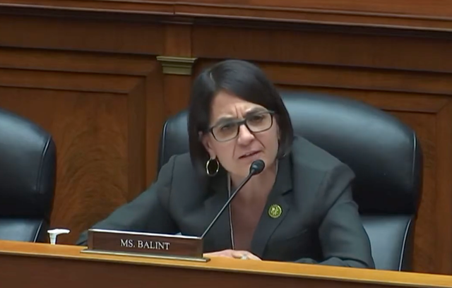 <p>Rep Becca Balint of Vermont questioning Mandy Gunasekara on June 6, 2023</p>