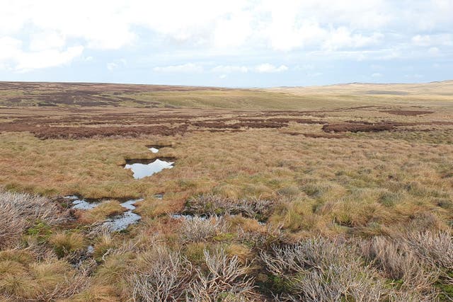 Peatland is vital for storing carbon (West Arkengarthdale Moor/PA)