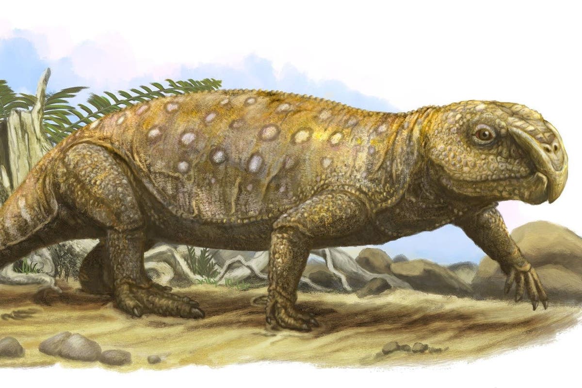 Dietary Damage to Teeth Led to Starvation of Triassic Herbivores, Indicate Findings