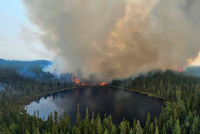 <p>The Chapleau 3 wildfire burns near the township of Chapleau, Ontario, on Sunday, June 4</p>