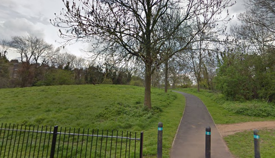 Detectives are appealing to the public for information after a woman reported she was raped by an unknown man in Burgess Park, SE5