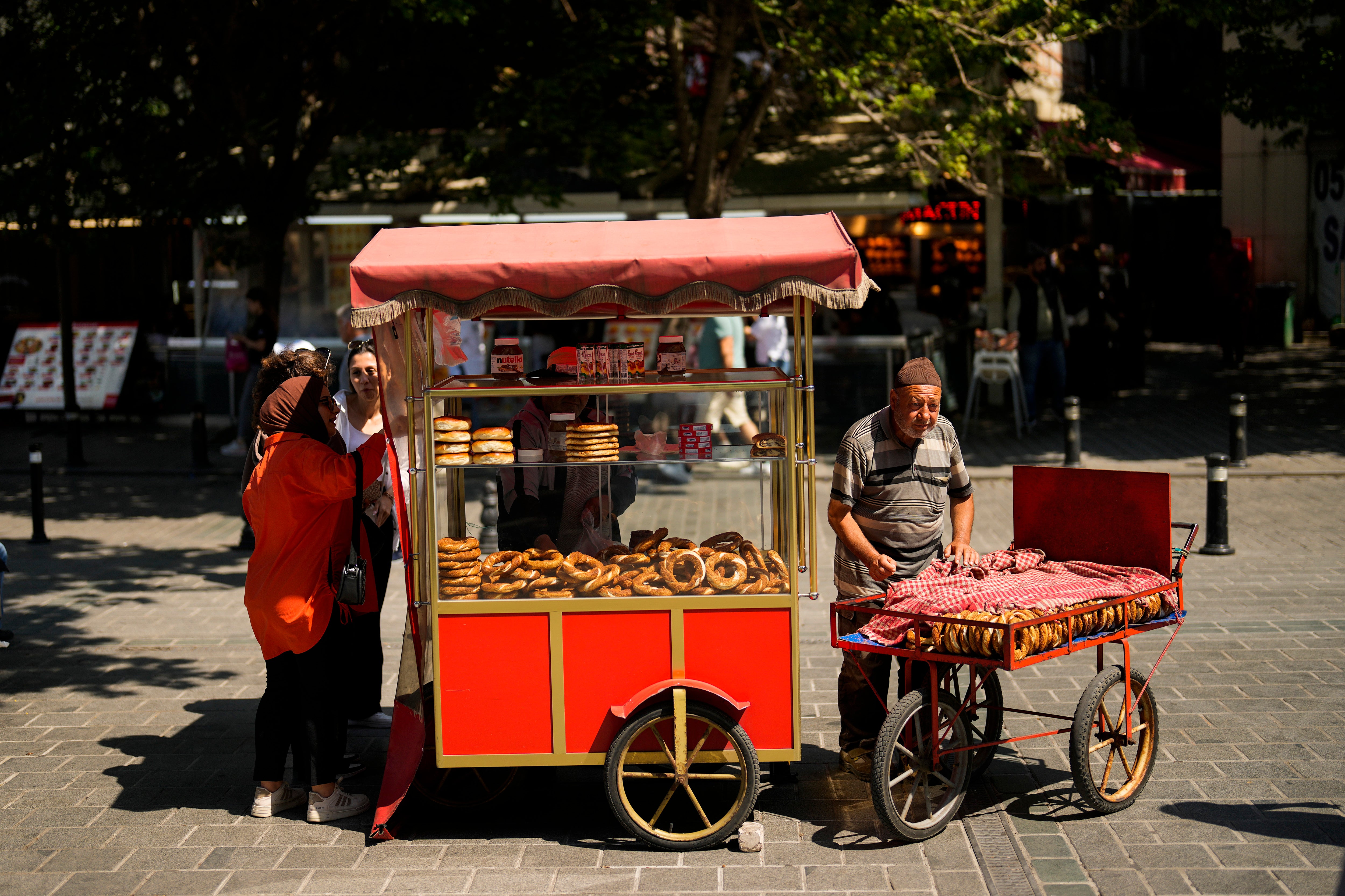 Turkey Economy Explainer
