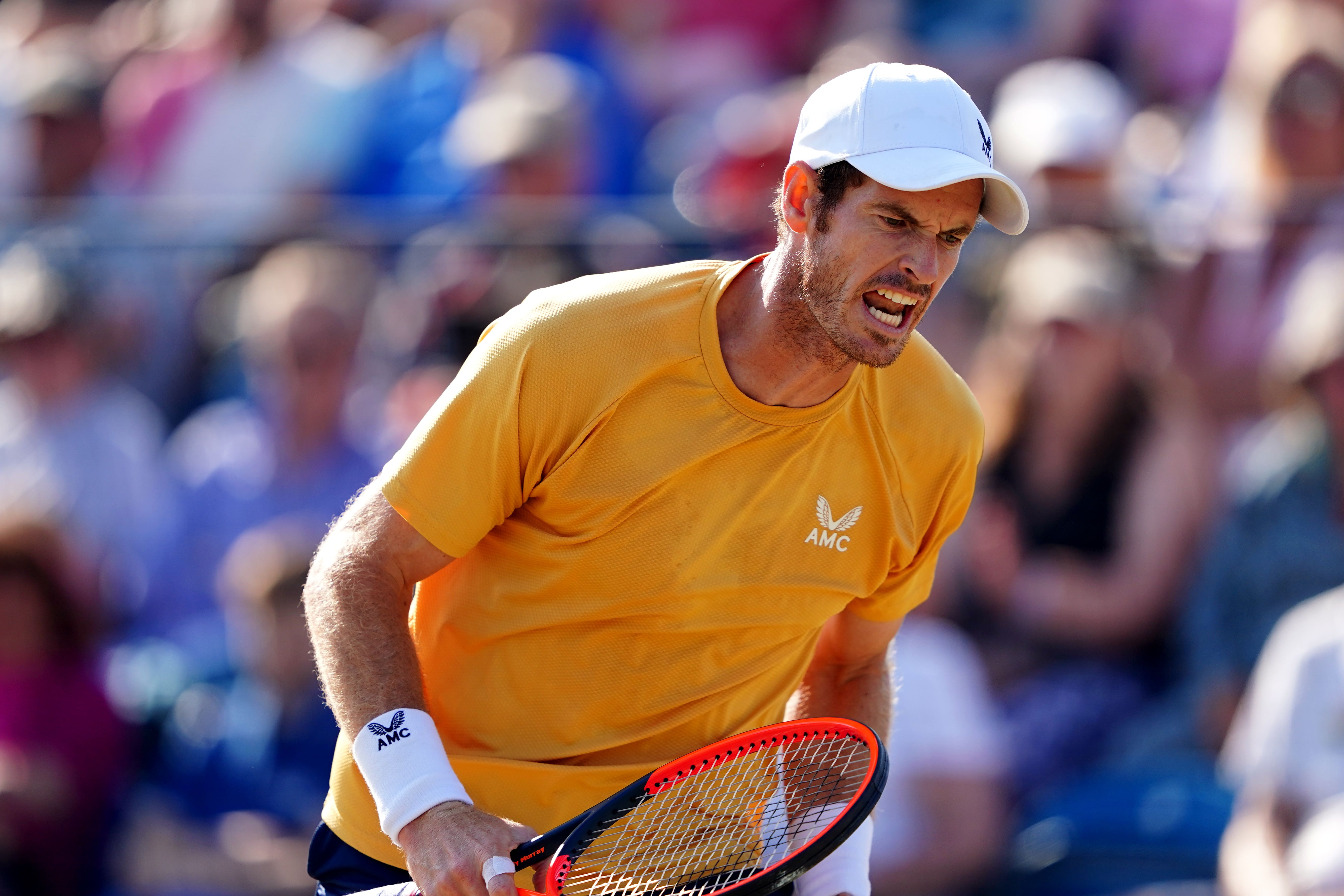 Andy Murray fights back from set down to reach Surbiton semi-finals The Independent