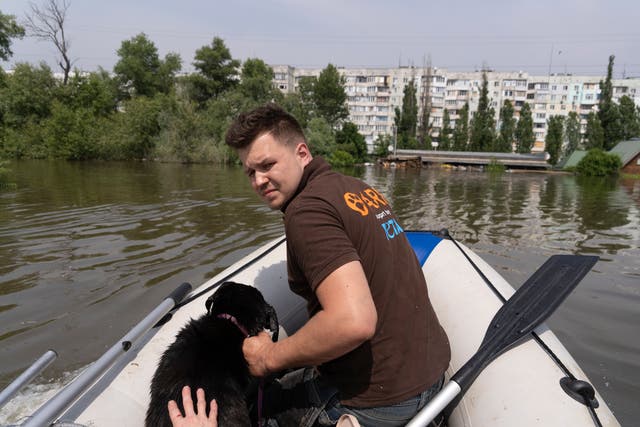 Russia Ukraine War Animal Rescue