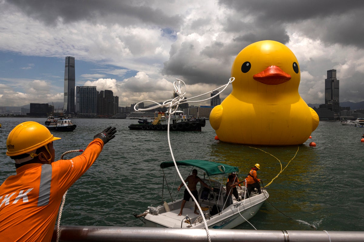 One of the 2 giant ducks in Hong Kong's Victoria Harbor deflates