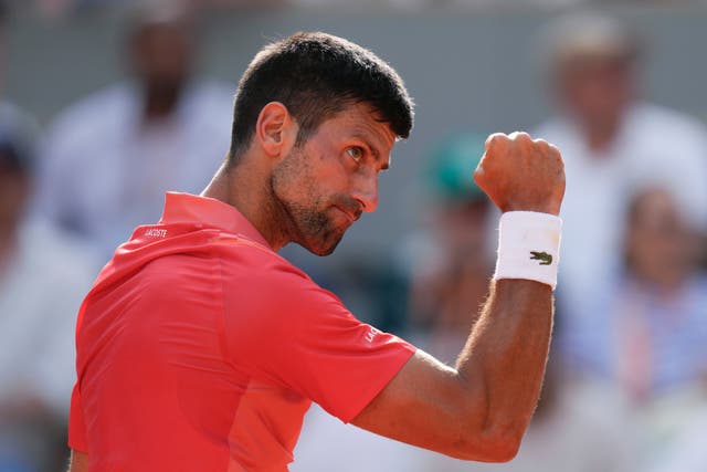 Novak Djokovic has his sights set on history (Thibault Camus/AP)