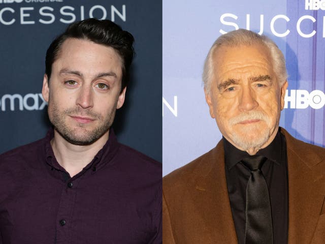 <p>Kieran Culkin and Brian Cox</p>