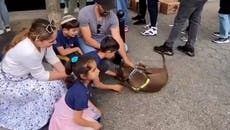 Moment lost dog reunited with family after owners spot her at adoption event