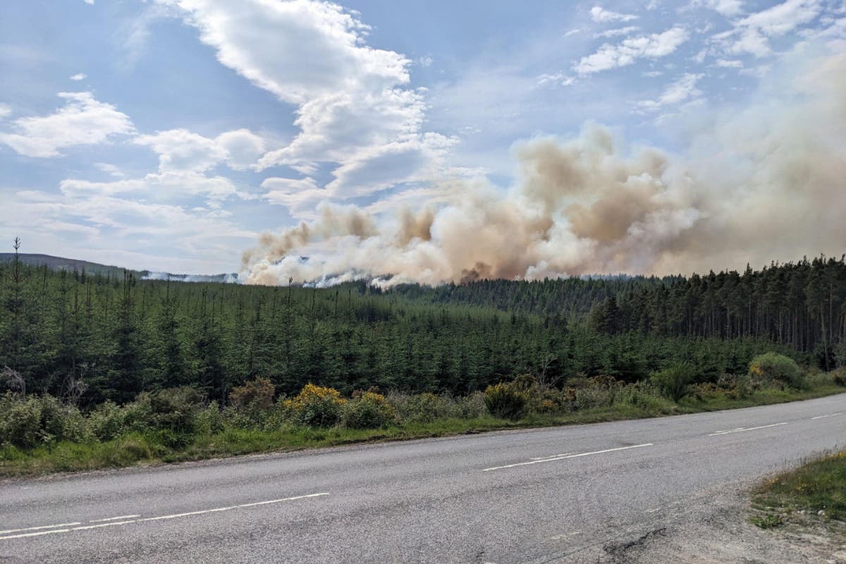 Firefighters continue tackling ‘mile long’ wildfire near Inverness ...