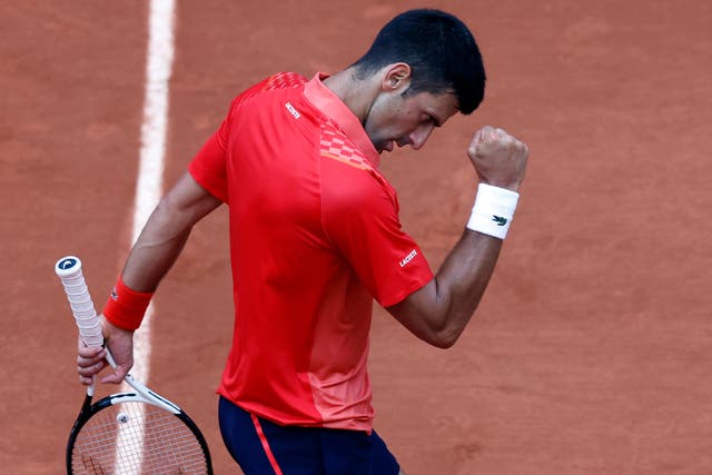 Novak Djokovic won his 11th grand slam title since turning 30 on Sunday (Jean-Francois Badias/AP)