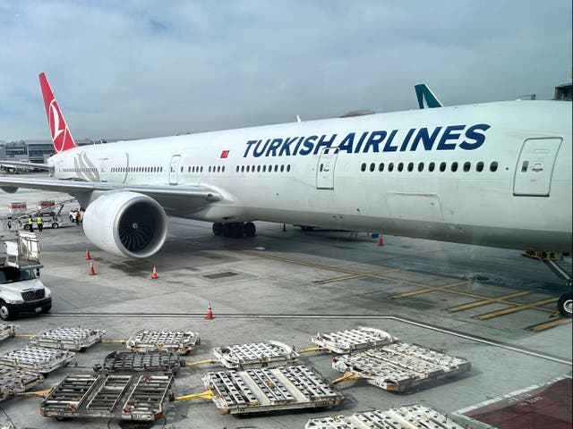 <p>Empty baggage trucks are seen by a Turkish airlines Boeing 777 at Los Angeles International Airport (LAX) on January 11, 2023</p>