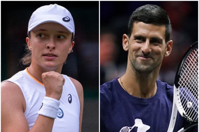 Iga Swiatek and Novak Djokovic are the French Open champions (PA)