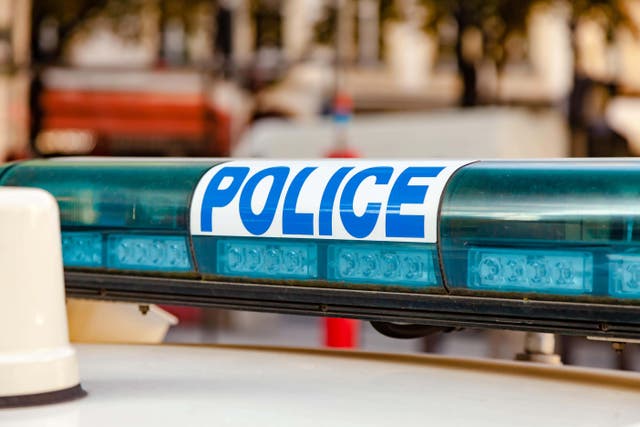 An 11-year-old girl from a British family has been shot dead while playing on her garden swing in France, according to reports (Alamy/PA)