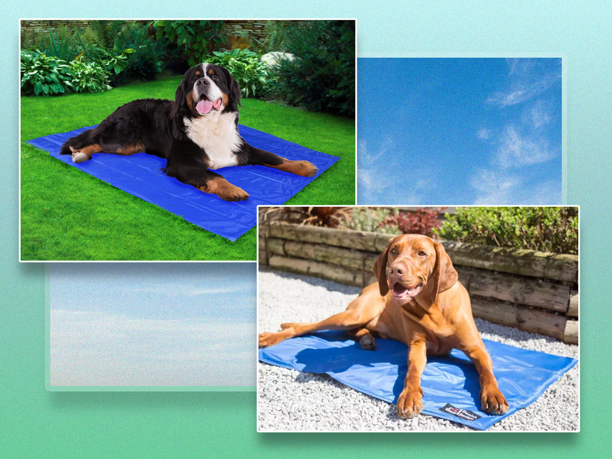 Pet cooling mats for dogs and cats: Prepare for summer heatwaves with these designs