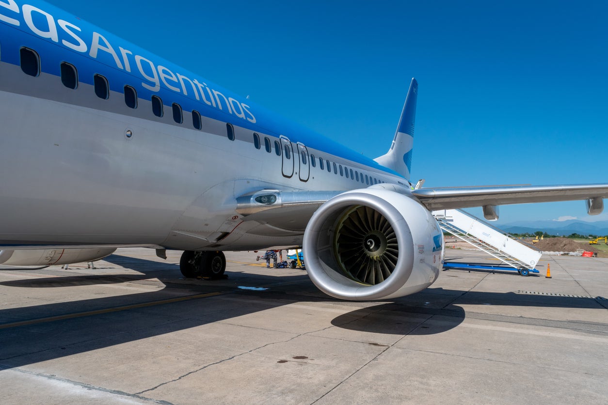 The attendant reportedly worked for Aerolineas Argentina
