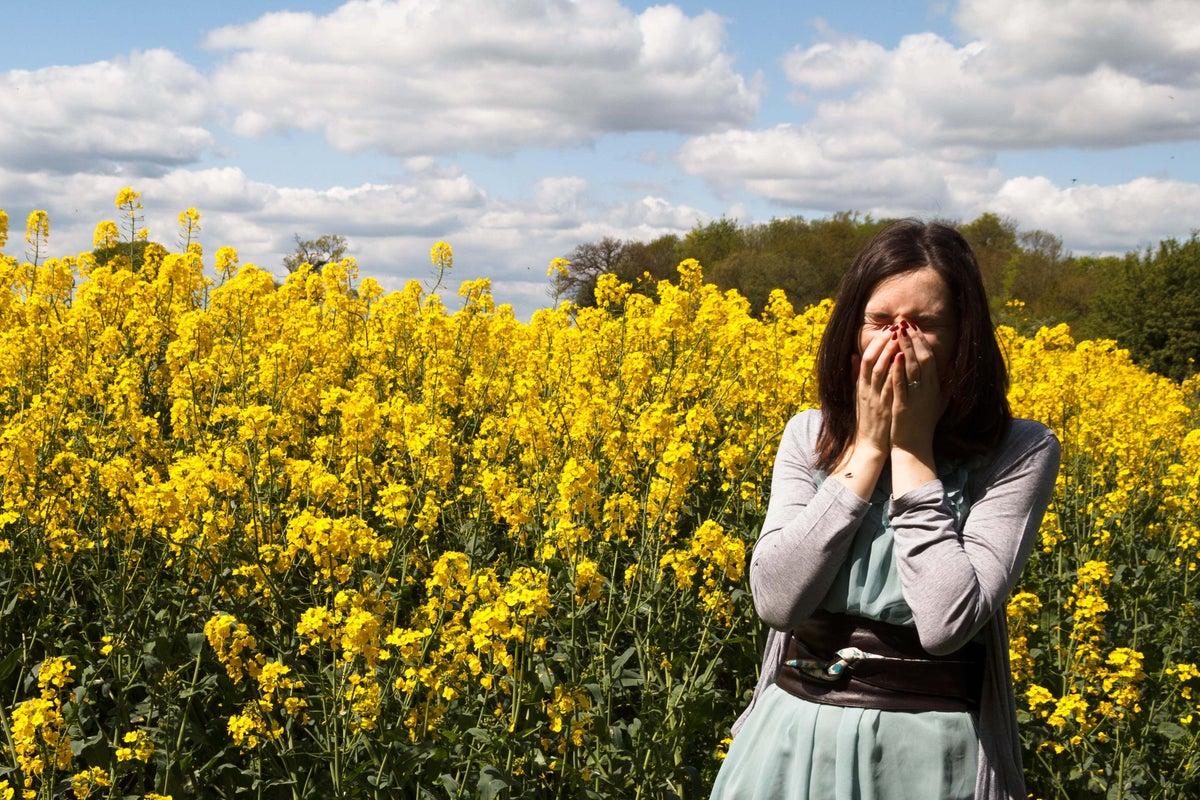 Met Office issues week-long ‘red alert’ for hay fever