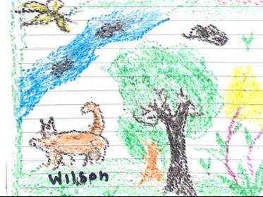 Earlier this week, the Colombian Army shared a drawing of the now-missing four-legged hero made by the children from their hospital beds