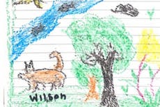 Fears for hero dog Wilson who saved four children stranded in Amazon jungle but is now lost himself