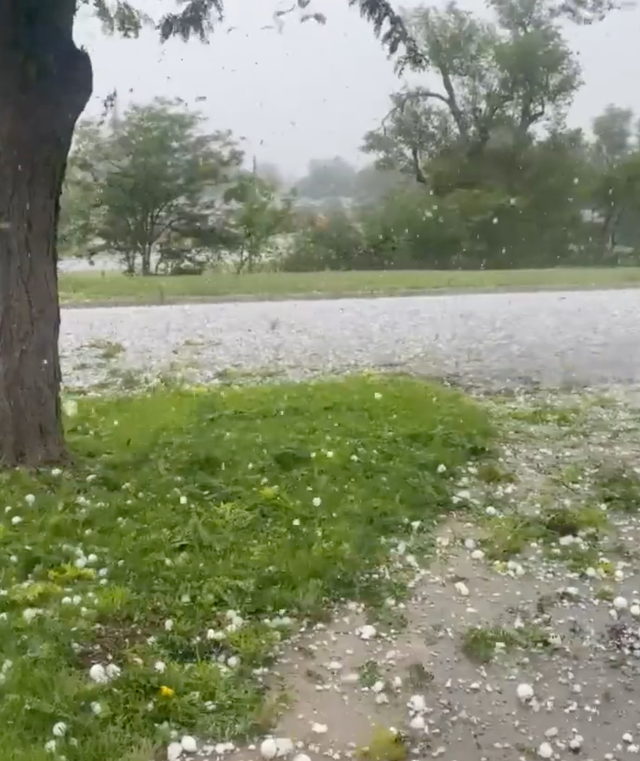 <p>Large hail falling in Pampa, Texas on Monday afternoon amid severe weather alerts across the state</p>