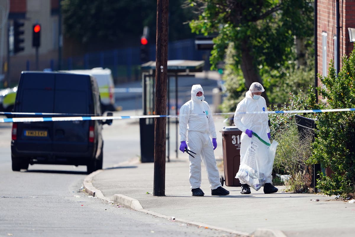 Three fatally knifed before attacker &lsquo;stole victim&rsquo;s van&rsquo; to drive at others