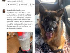 Airbnb customer furious after being charged extra over dog hair