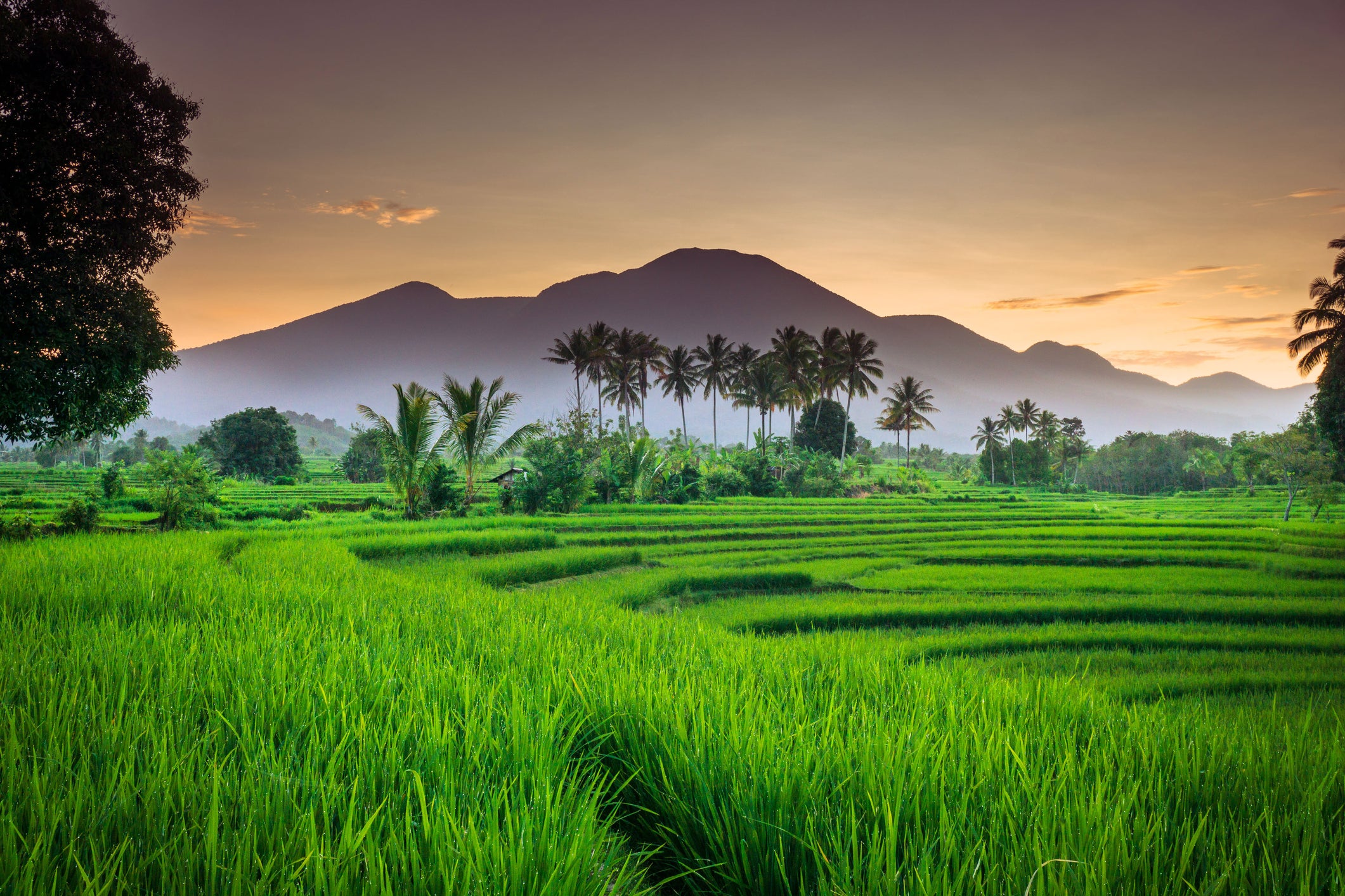 The ban applies to 22 mountains in Bali
